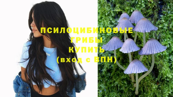 кокс Алексин