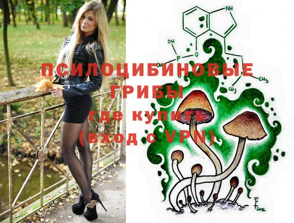 шишки Алексеевка
