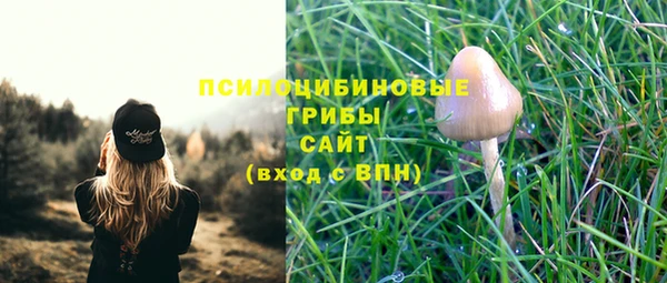 шишки Алексеевка