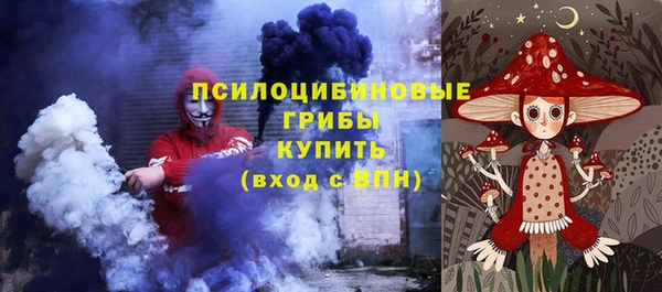 винт Абаза