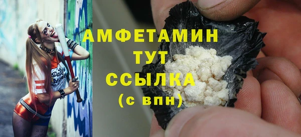 винт Абаза