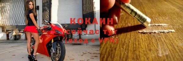винт Абаза