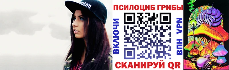 Галлюциногенные грибы Psilocybe Зеленокумск